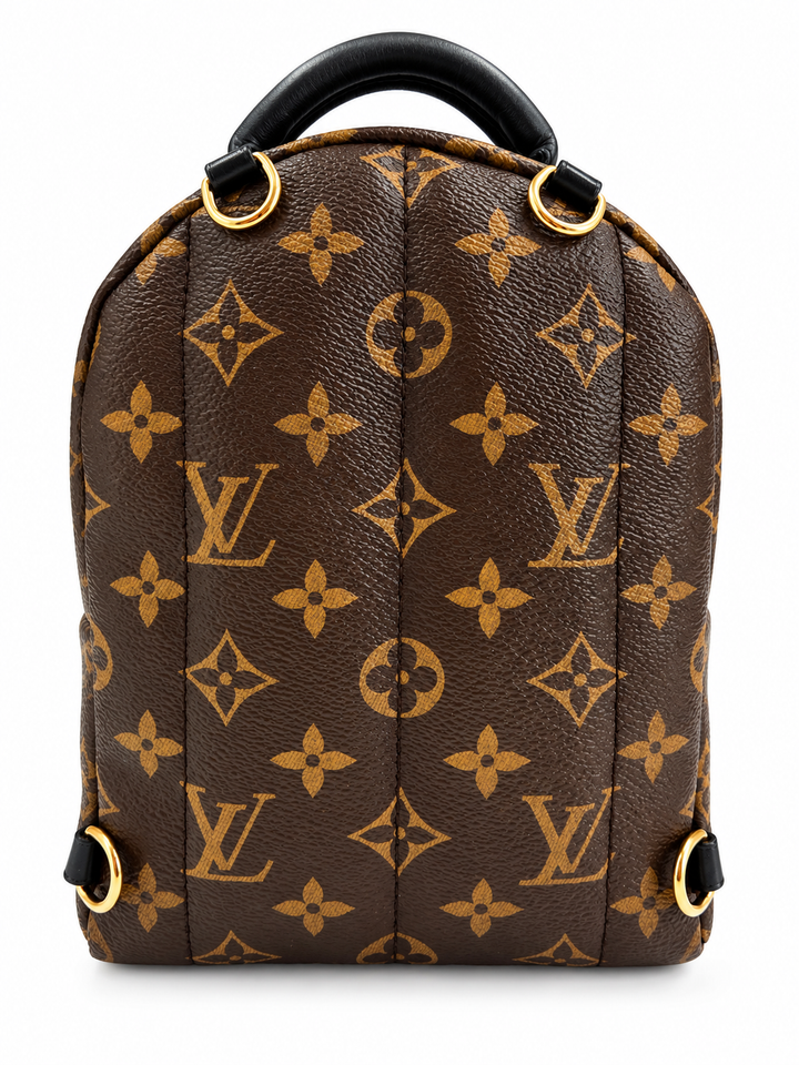 Louis Vuitton Palm Springs Mini in Monogram