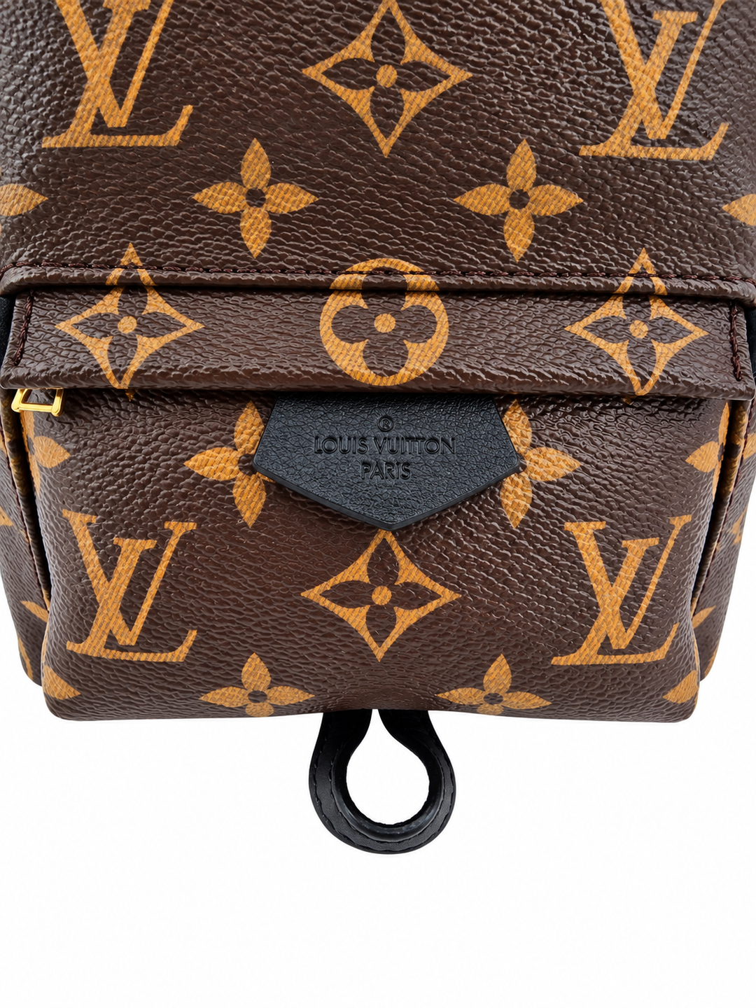 Louis Vuitton Palm Springs Mini in Monogram
