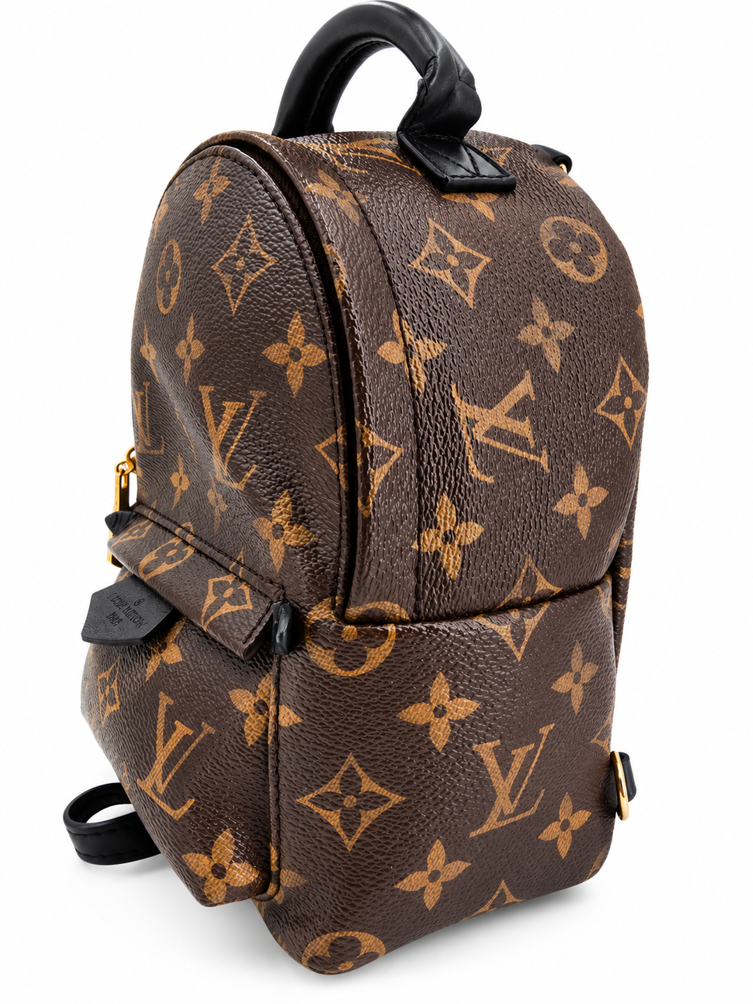 Louis Vuitton Palm Springs Mini in Monogram