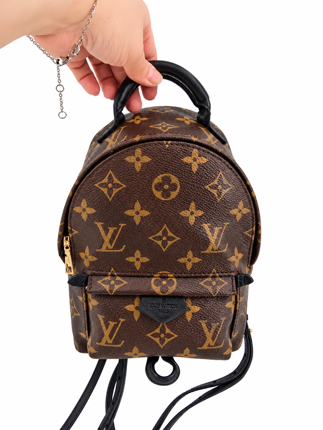 Louis Vuitton Palm Springs Mini in Monogram