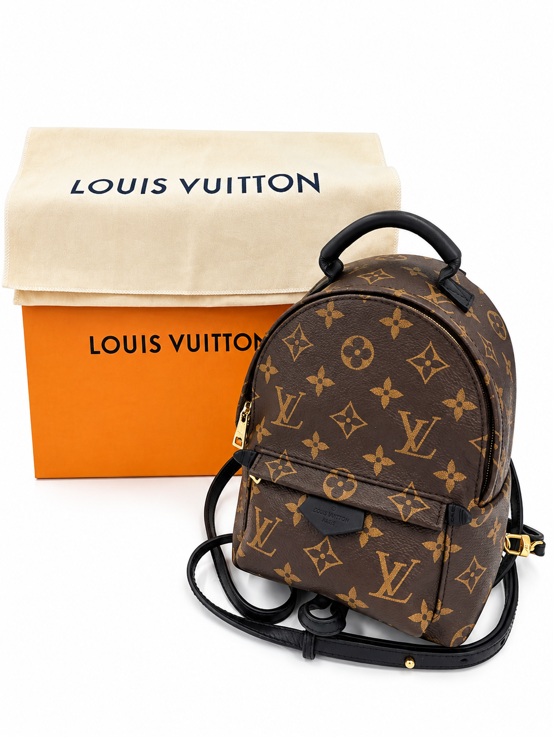 Louis Vuitton Palm Springs Mini in Monogram