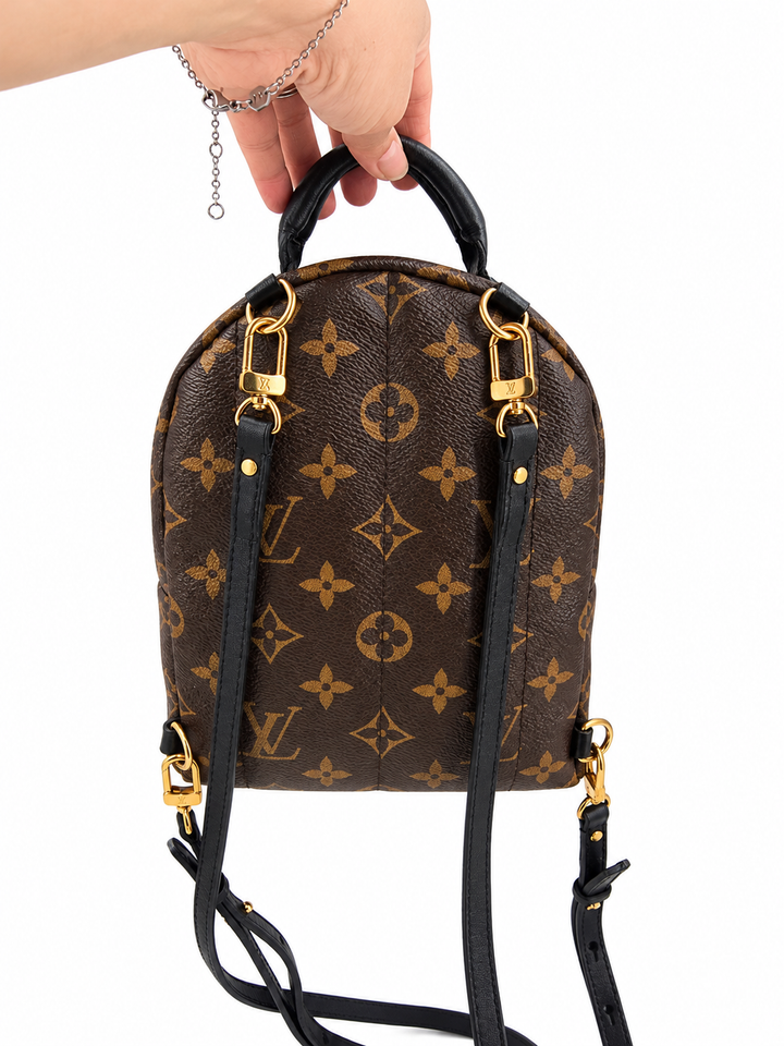 Louis Vuitton Palm Springs Mini in Monogram