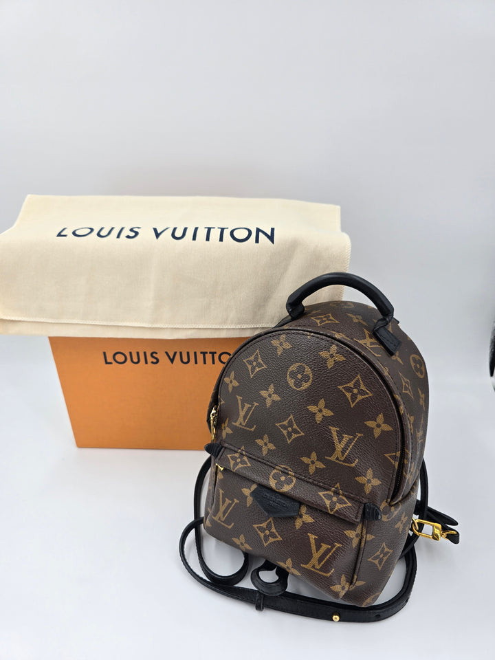 Louis Vuitton Palm Springs Mini in Monogram