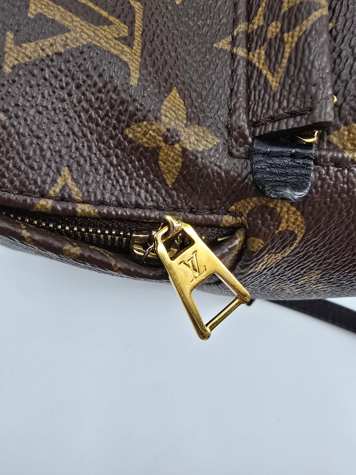 Louis Vuitton Palm Springs Mini in Monogram
