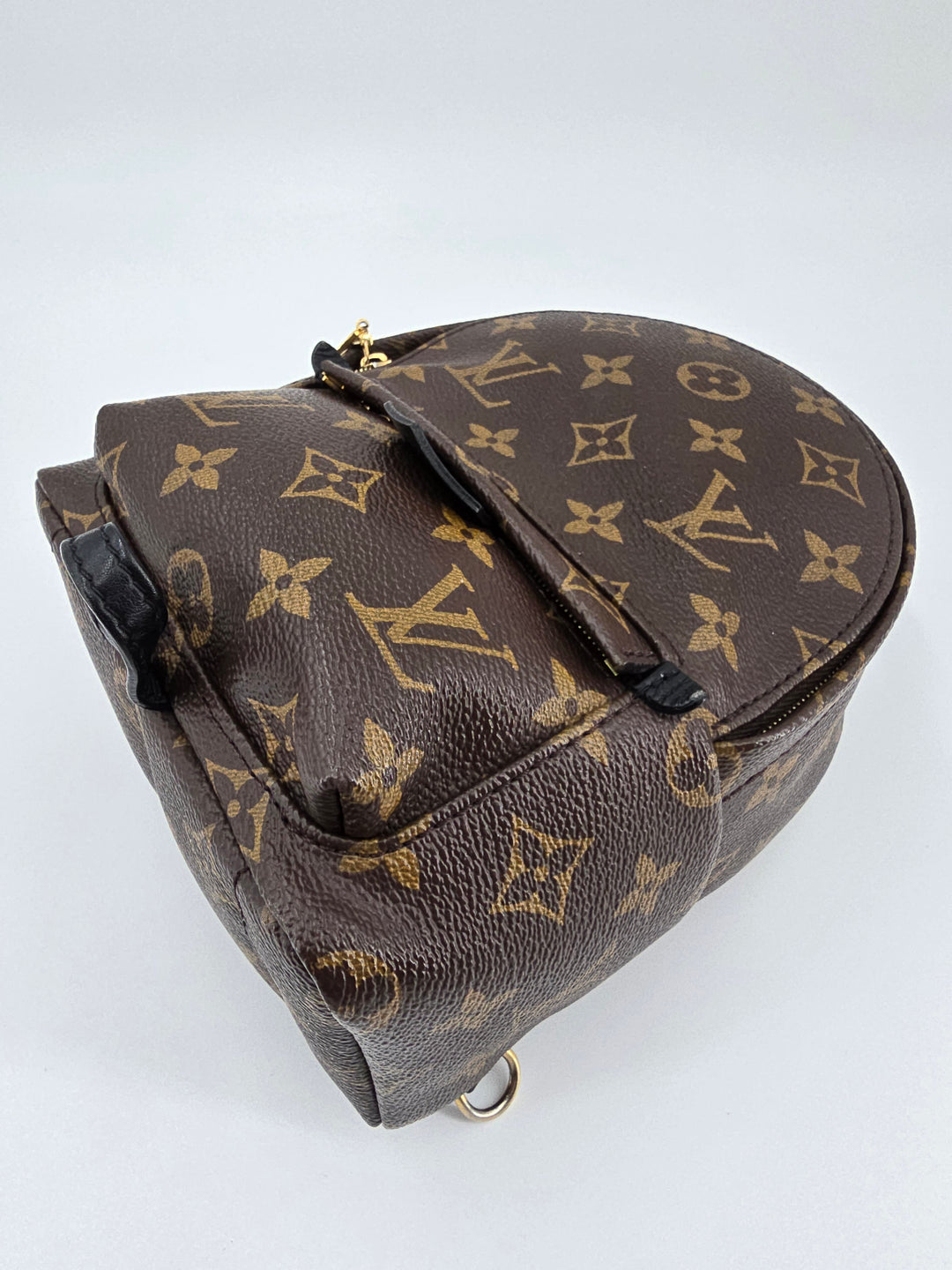 Louis Vuitton Palm Springs Mini in Monogram