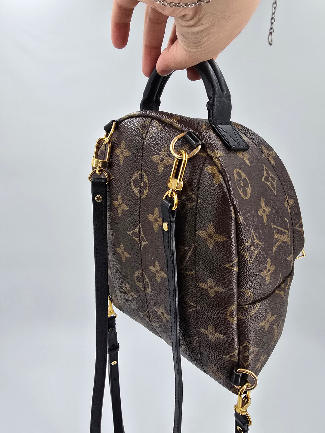 Louis Vuitton Palm Springs Mini in Monogram