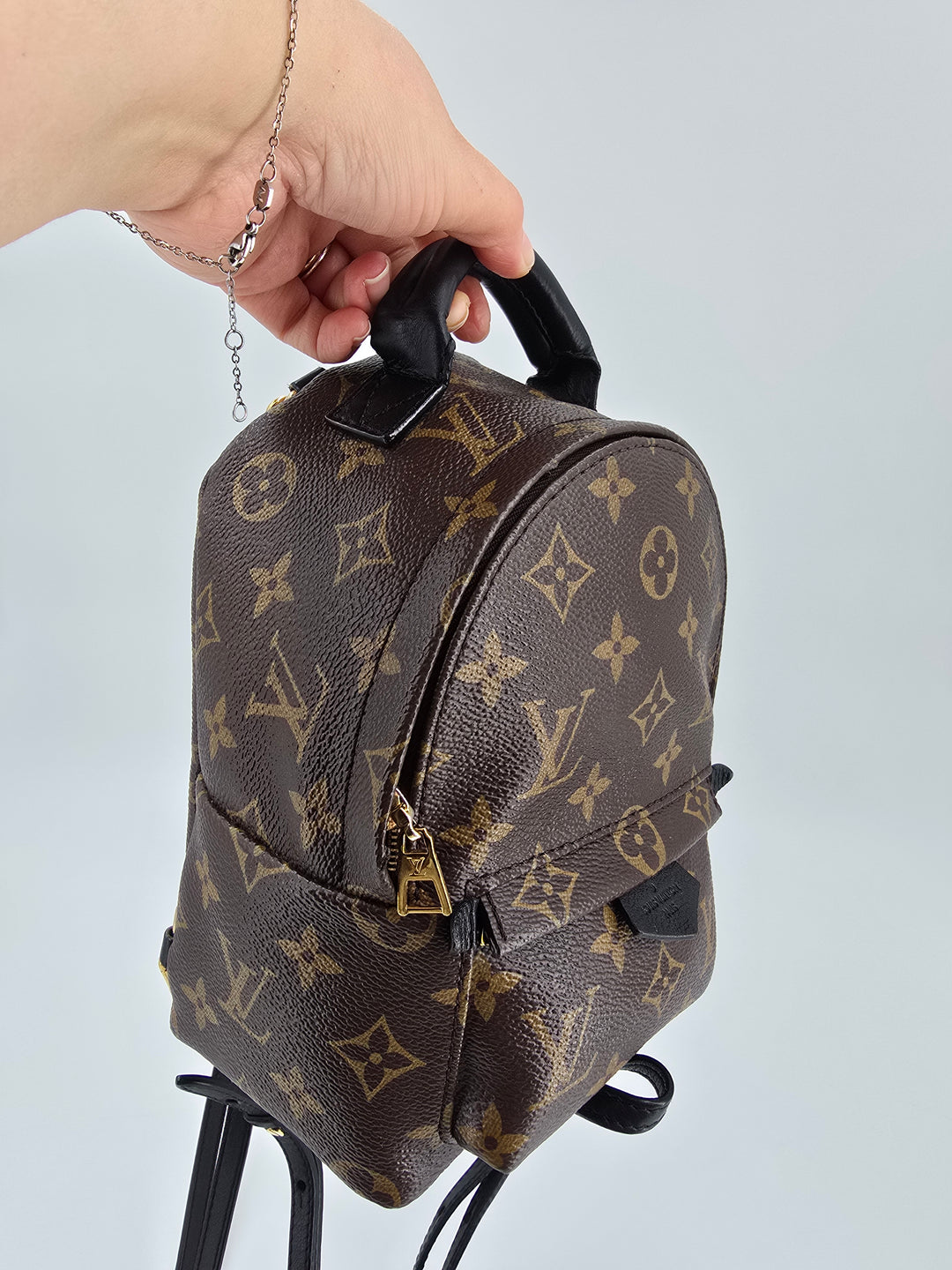 Louis Vuitton Palm Springs Mini in Monogram