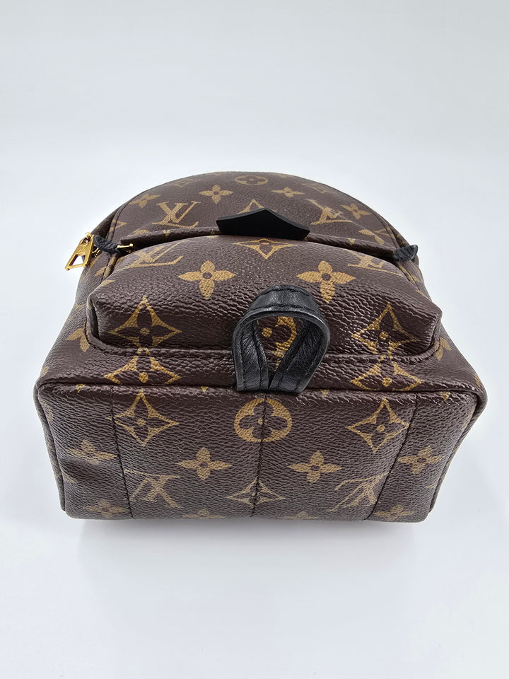 Louis Vuitton Palm Springs Mini in Monogram