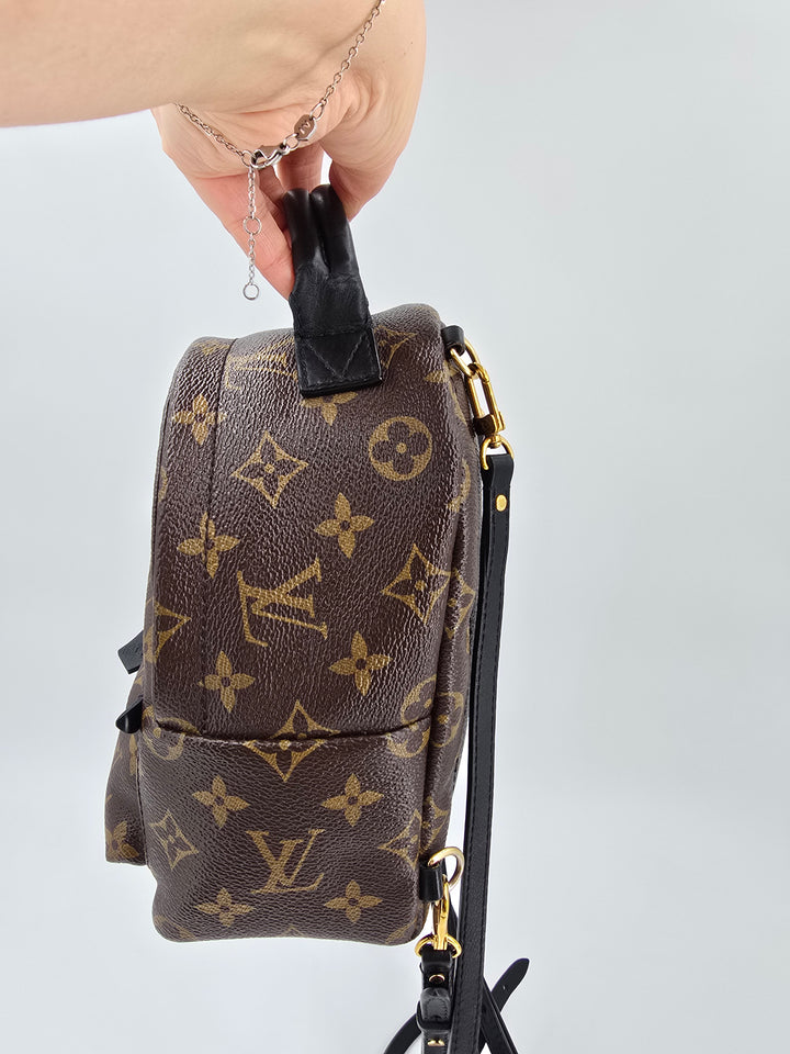 Louis Vuitton Palm Springs Mini in Monogram