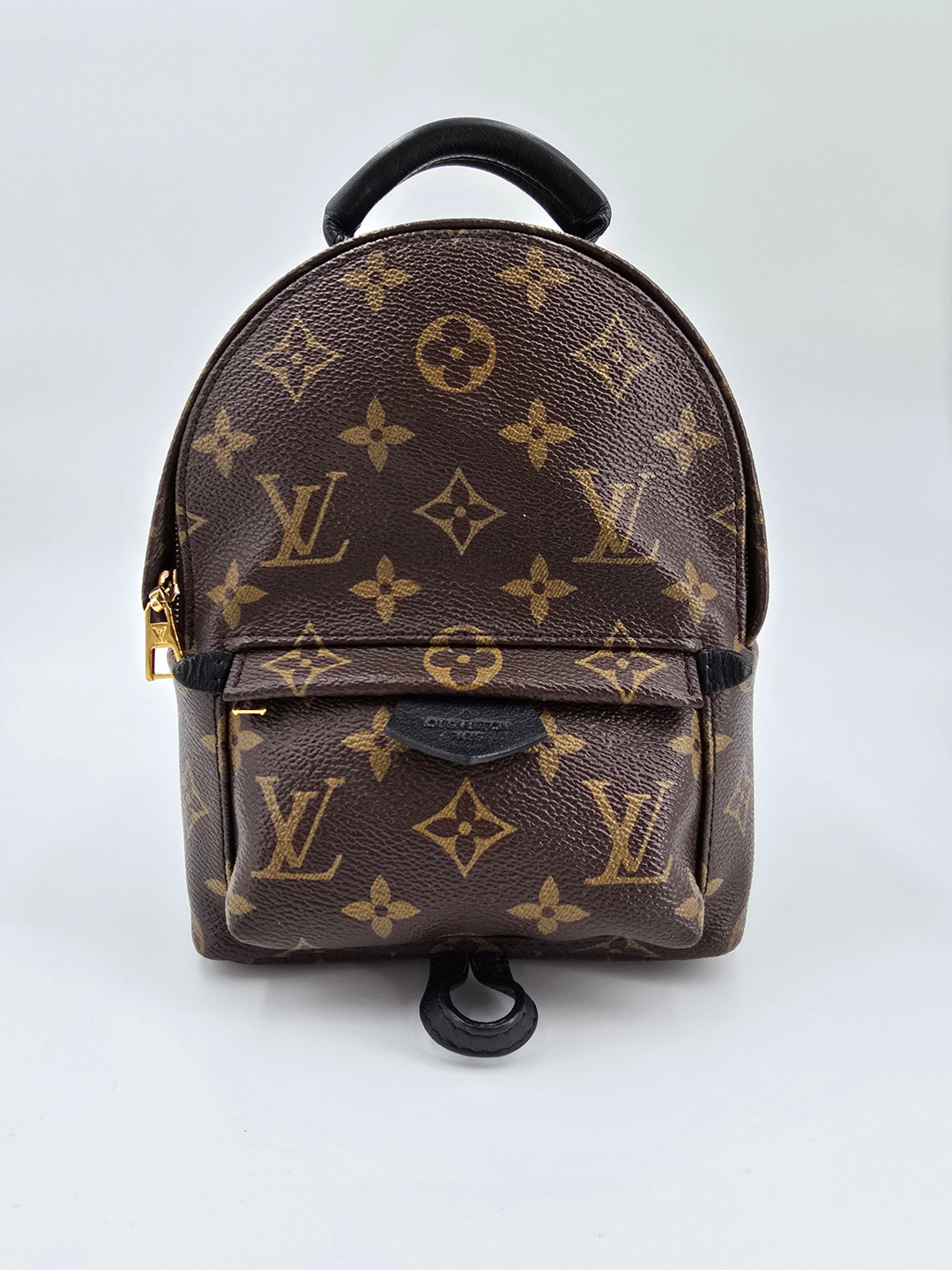 Louis Vuitton Palm Springs Mini in Monogram