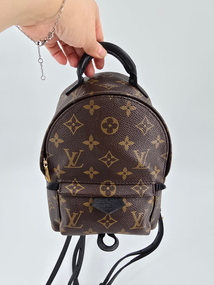 Louis Vuitton Palm Springs Mini in Monogram
