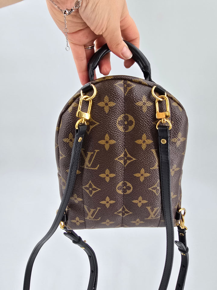 Louis Vuitton Palm Springs Mini in Monogram