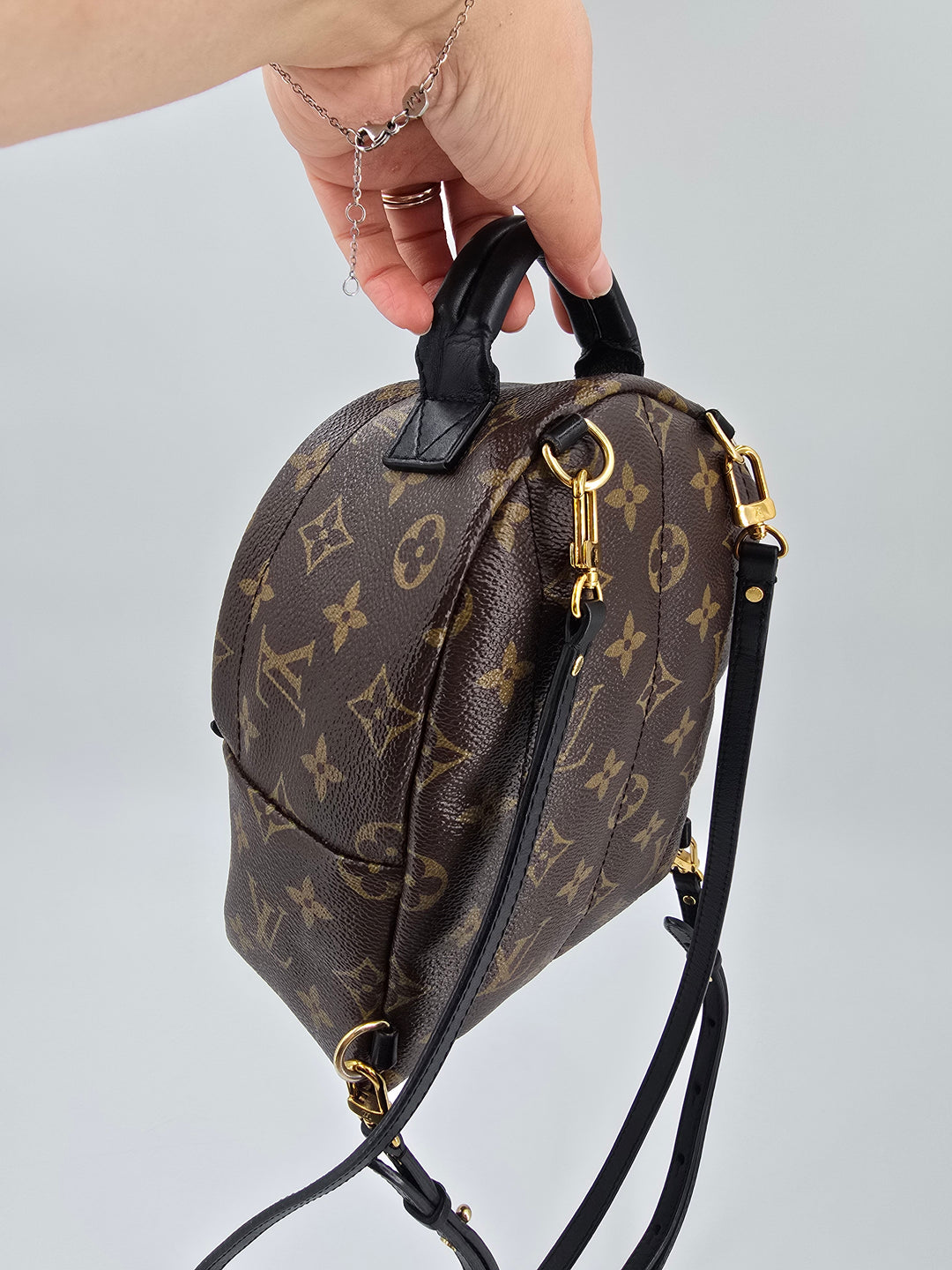 Louis Vuitton Palm Springs Mini in Monogram