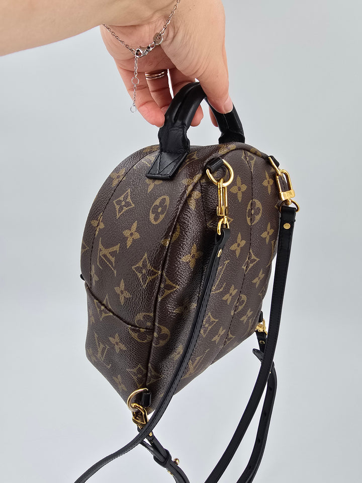 Louis Vuitton Palm Springs Mini in Monogram