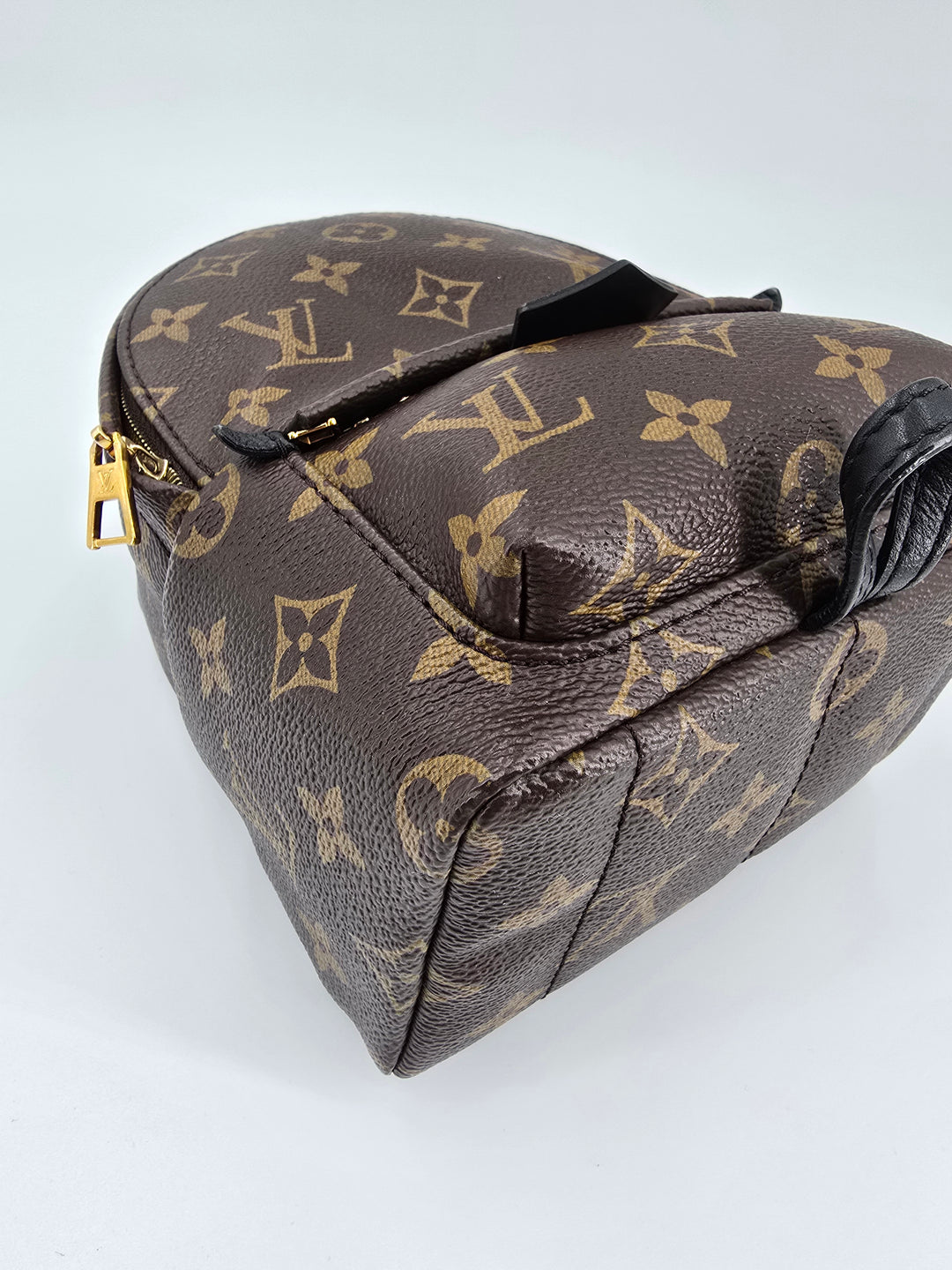 Louis Vuitton Palm Springs Mini in Monogram