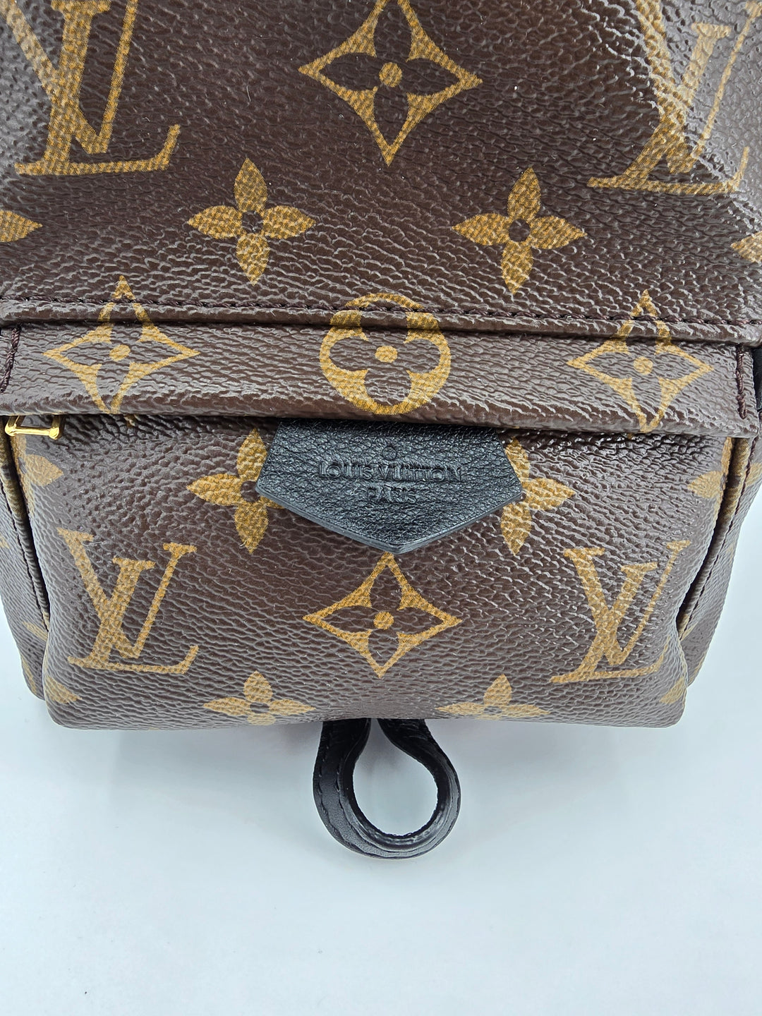 Louis Vuitton Palm Springs Mini in Monogram