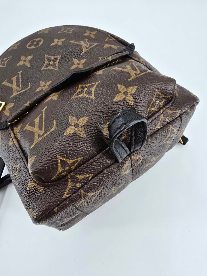 Louis Vuitton Palm Springs Mini in Monogram