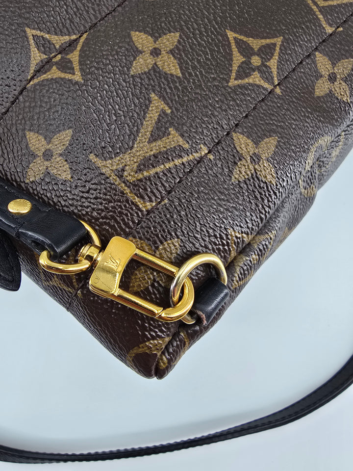 Louis Vuitton Palm Springs Mini in Monogram